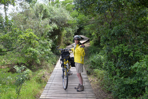 Terry Struck and the Bee at St Lucia, South Africa.