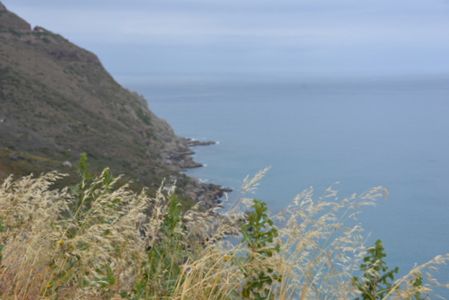 Looking South down the Atlantic Ocean.