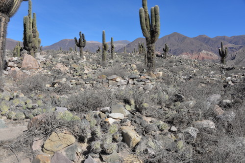 Pucar&aacute; de Tilcara.