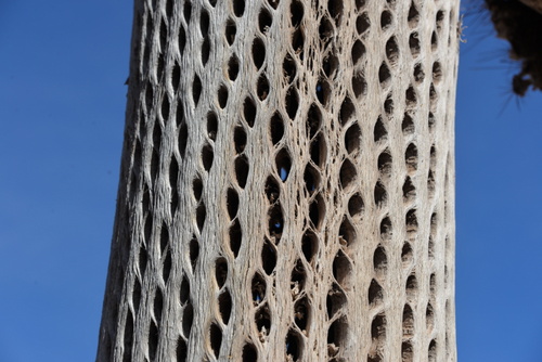 Pucar&aacute; de Tilcara.