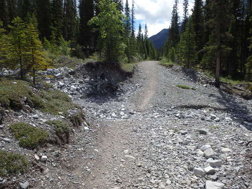 GDMBR: Around mile 15 we started to run into traditional mountain bike obstacles.