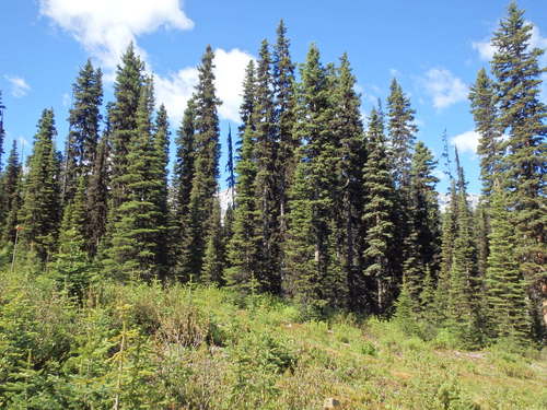 GDMBR: Side view as we climb.