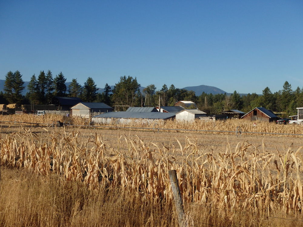 GDMBR: Fall is in the Air.