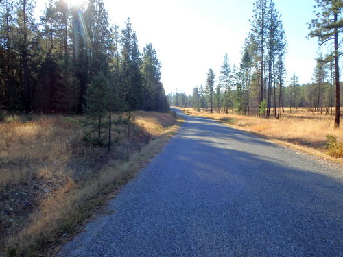 GDMBR: South of the town of Baynes Lake.
