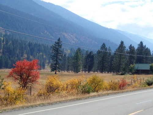 GDMBR: Heading south on BC Hwy-93.