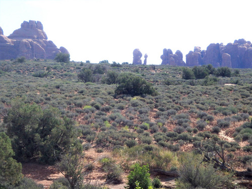 Hoodoos and Monuments, Arches NP, UT.