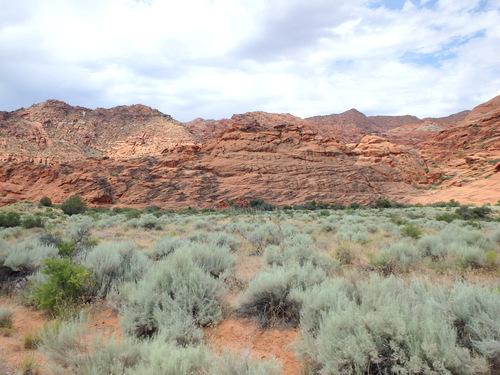 Tandem Bike Tour, Snow Canyon, UT.