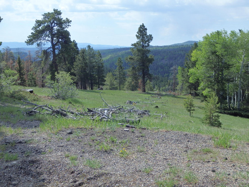 Generally cycling southeast on UT-143, Dixie NF.