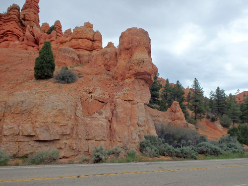 Bike Path through Dixie National Forest.