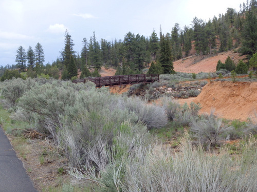 Bike Path through Dixie National Forest.