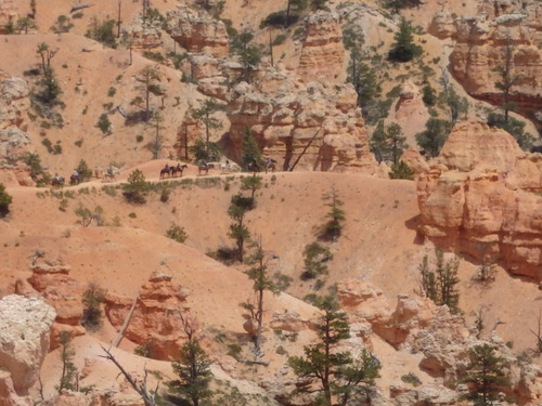 Bryce Canyon Rim Hike.