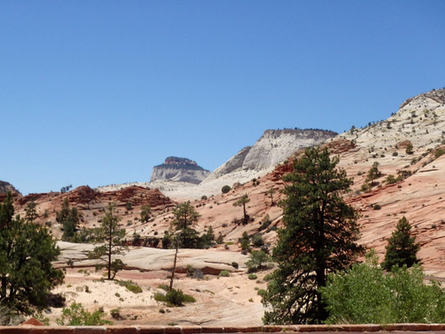Pedaling through Zion NP.