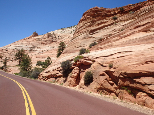 Pedaling through Zion NP.