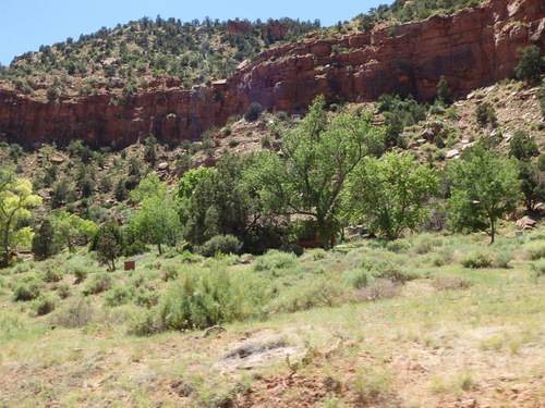Another hidden settlement structure in the trees.