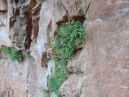 Hiked up the Grotto Trail.