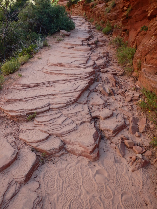 West Rim Trail.