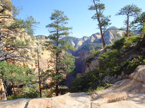 West Rim Trail.