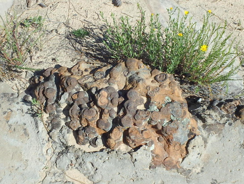 West Rim Trail.