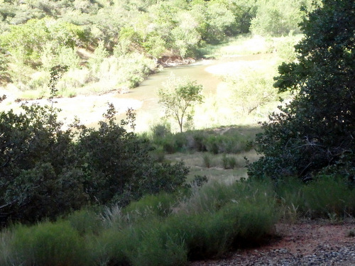 Cycling through Zion NP's Virgin Valley.