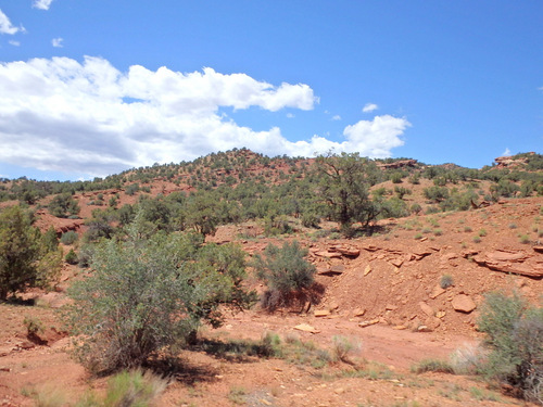 Capitol Reef National Park.