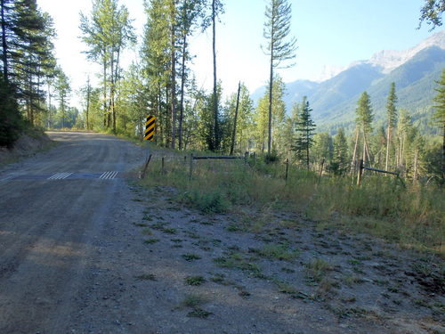 GDMBR: Riding south on Cokato Road.