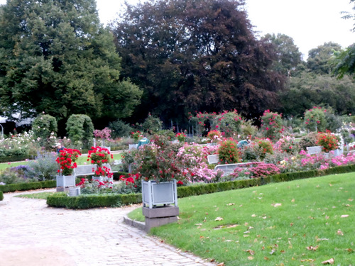 Planten Bloomin Trail.