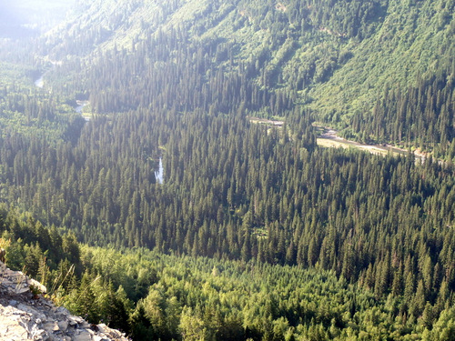 Looking south and down at McDonalds Creek.