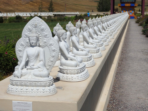 One-Thousand Buddhas.