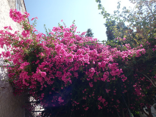 Saronic Islands Tour.