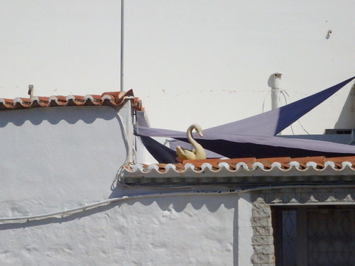 Saronic Islands Tour.