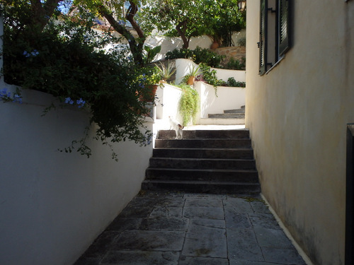 Saronic Islands Tour.