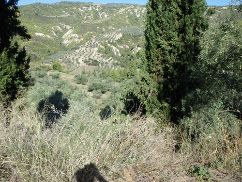 This could be Portugal, Spain, Italy, Argentina, New Mexico, or Arizona.
