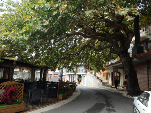 A view down the main street.