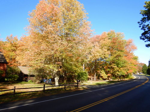 Fall foliage in New Hampshire.