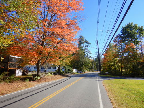 Fall Foliage.