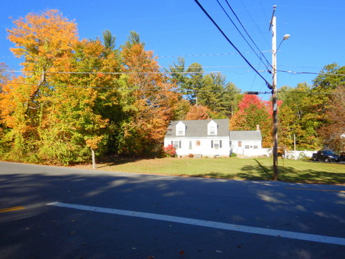 Fall Foliage.