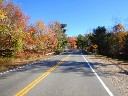 Fall Foliage.