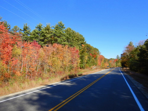 Fall Foliage.