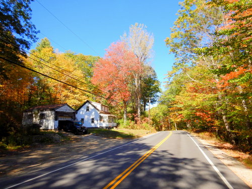 Fall Foliage.