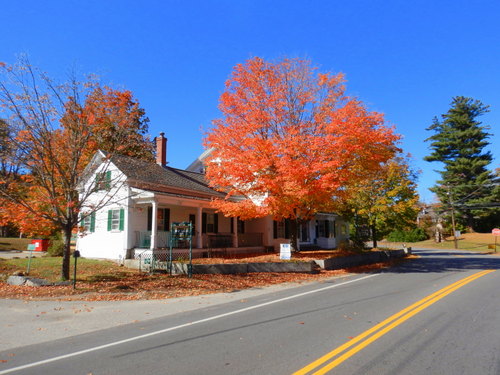 Fall Foliage.