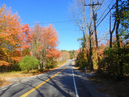 Fall Foliage.