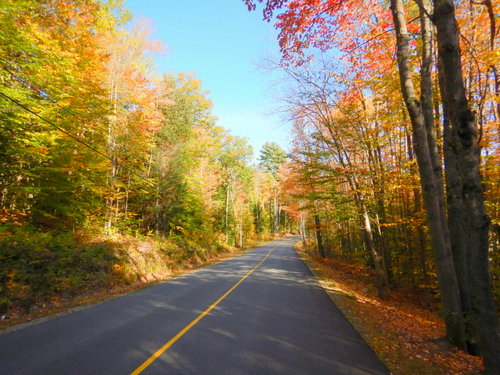 Fall Foliage.