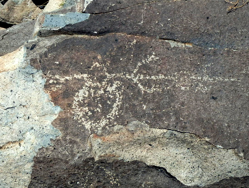 Three Rivers Petroglyphs Site.