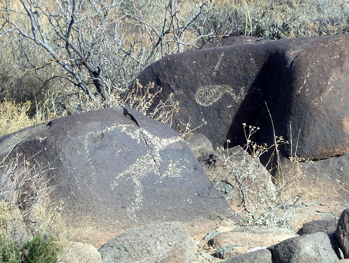 Three Rivers Petroglyphs Site.
