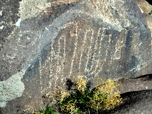 Three Rivers Petroglyphs Site.