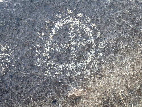 Three Rivers Petroglyphs Site.
