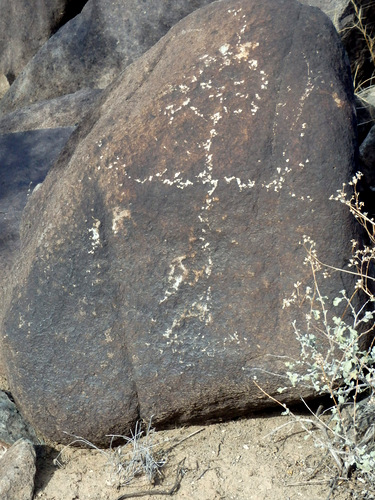 Three Rivers Petroglyphs Site.