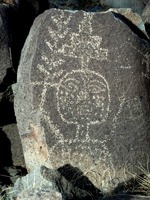 Three Rivers Petroglyphs Site.