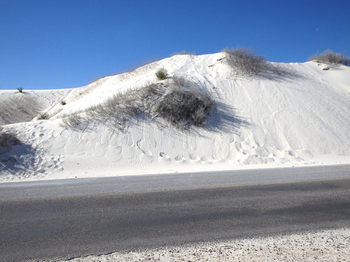 In White Sands, NM, Innerdunal Area.