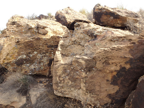 Valley of Fires, New Mexico.